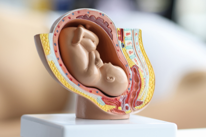 Dra. Thaline Neves explica como a música e a voz dos pais influenciam o desenvolvimento do feto ainda no útero.