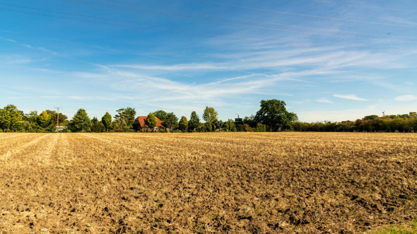 A formação de novos agricultores é o caminho para um campo mais produtivo e sustentável, afirma Fábio Jose Gentil Pereira Rosa.