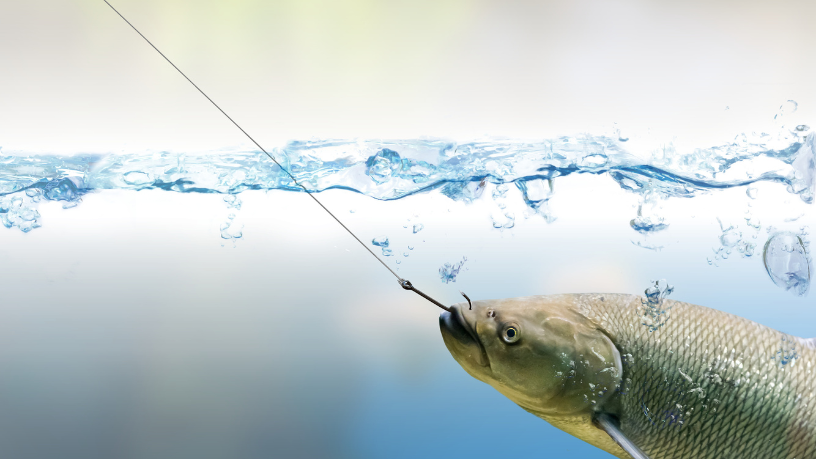 Técnica e precisão: Joel Alves ensina a escolher o anzol ideal para cada espécie e ambiente de pesca.