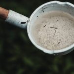 Larvas de mosquito visíveis em uma amostra de água, possível criadouro do Aedes aegypti